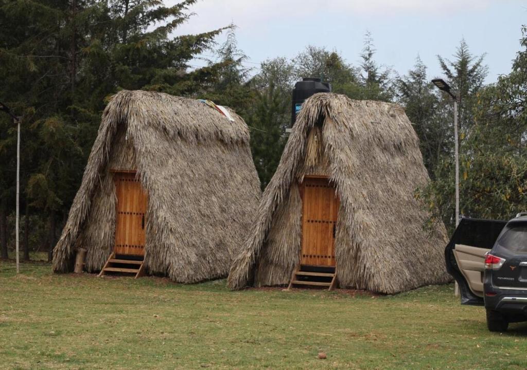 Traditional thatched ceremony huts